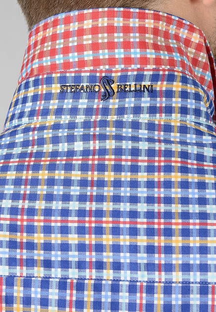 Рубашка STEFANO BELLINI  - Хлопок - цвет синий