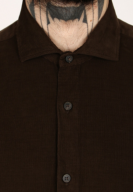 Рубашка PESERICO  - Хлопок - цвет коричневый