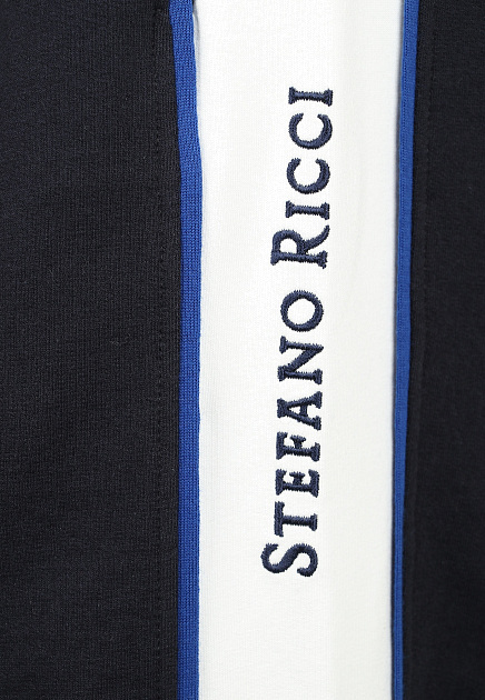 Спортивные брюки с вышитым логотипом  STEFANO RICCI